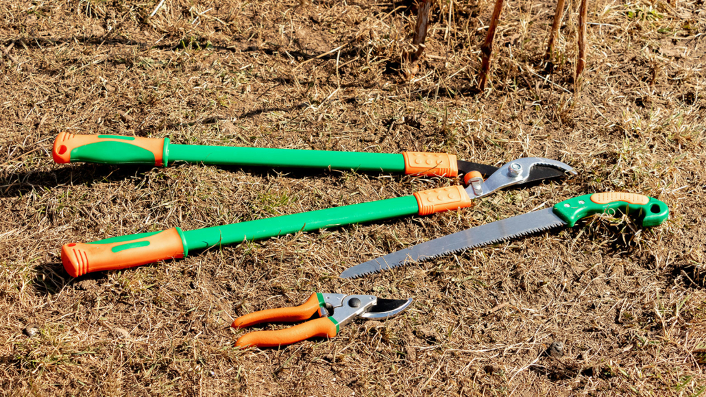 tree cutting tools​